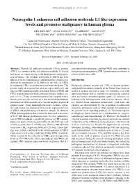 Neuregulin 1 Enhances Cell Adhesion Molecule L1 Like Expression Levels and Promotes Malignancy in Human Glioma