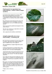 Phyllonorycter Leucographella (Lep: Lithocolletinae) - a Miner of Beech (Fagus Sylvatica) ______