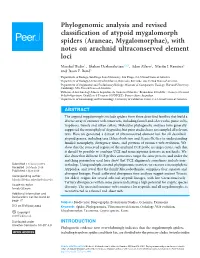 Phylogenomic Analysis and Revised Classification of Atypoid Mygalomorph Spiders (Araneae, Mygalomorphae), with Notes on Arachnid Ultraconserved Element Loci