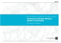 Tendring Colchester Concept Framework