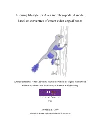 A Model Based on Curvatures of Extant Avian Ungual Bones