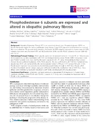 Phosphodiesterase 6 Subunits Are Expressed and Altered in Idiopathic