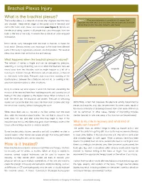 Brachial Plexus Injury