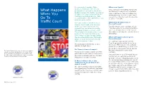What Happens When You Go to Traffic Court, JDP-CR-161
