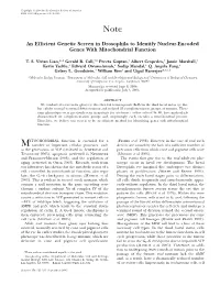 An Efficient Genetic Screen in Drosophila to Identify Nuclear