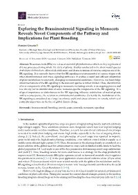Exploring the Brassinosteroid Signaling in Monocots Reveals Novel Components of the Pathway and Implications for Plant Breeding