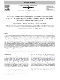 Lack of Taxonomic Differentiation in An