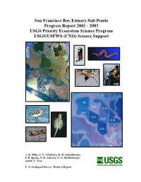 San Francisco Bay Estuary Salt Ponds Progress Report 2001 - 2003 USGS Priority Ecosystem Science Program USGS/USFWS (CNO) Science Support
