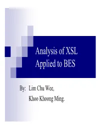 Analysis of XSL Applied to BES