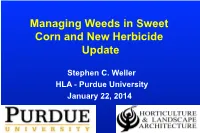 Managing Weeds in Sweet Corn and New Herbicide Update