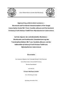 Structural and Functional Characterization O