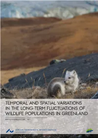 Temporal and Spatial Variations in the Long-Term Fluctuations of Wildlife Populations in Greenland