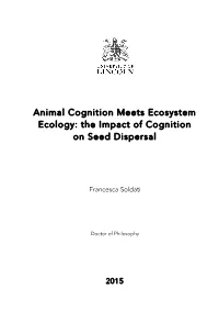 The Impact of Cognition on Seed Dispersal