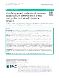 Identifying Genetic Variants and Pathways Associated with Extreme Levels of Fetal Hemoglobin in Sickle Cell Disease in Tanzania