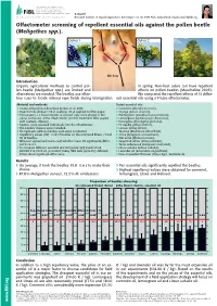 Olfactometer Screening of Repellent Essential Oils Against the Pollen Beetle (Meligethes Spp.)