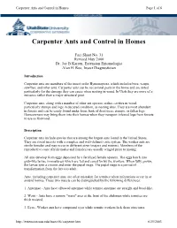 Carpenter Ants and Control in Homes Page 1 of 6