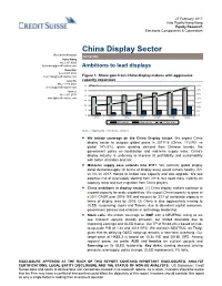 China Display Sector
