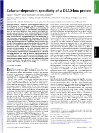 Cofactor-Dependent Specificity of a DEAD-Box Protein