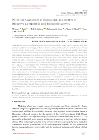 Potential Assessment of Rumex Spp. As a Source of Bioactive Compounds and Biological Activity