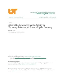 Effect of Background Synaptic Activity on Excitatory-Postsynaptic Potential-Spike Coupling Veronika Zsiros University of Tennessee Health Science Center