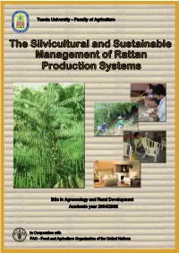 The Silvicultural and Sustainable Management of Rattan Production Systems