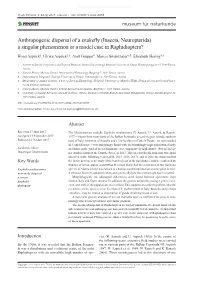 Anthropogenic Dispersal of a Snakefly (Insecta, Neuropterida) – a Singular Phenomenon Or a Model Case in Raphidioptera?