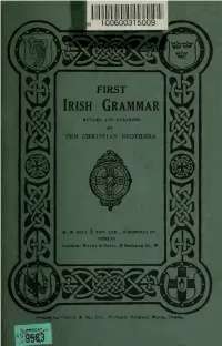 FIRST Irish Grammar