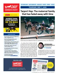 Tarport Hap: the Maternal Family That Has Faded Away with Time