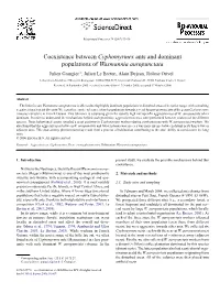 Coexistence Between Cyphomyrmex Ants and Dominant Populations Of
