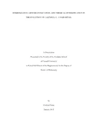 Op32.Pdf (6.453Mb)