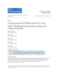 Overexpression of CYB5R3 and NQO1, Two NAD&lt;Sup&gt;+&lt;/Sup&gt;-Producing Enzymes, Mimics Aspects of Caloric Restriction