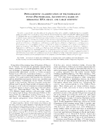 Phylogenetic Classification of Peltigeralean Fungi (Peltigerales,Ascomycota) Based on Ribosomal Rna Small and Large Subunits1