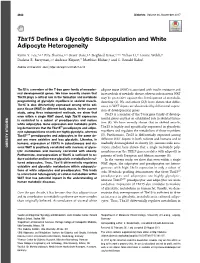 Tbx15 Defines a Glycolytic Subpopulation and White Adipocyte