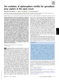 The Evolution of Siphonophore Tentilla for Specialized Prey Capture in the Open Ocean