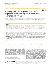 High Level Interferon Alpha-2B Production in Trichoderma Reesei