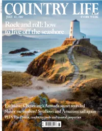 How to Live Off the Seashore