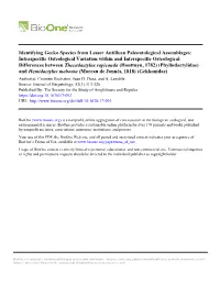 Identifying Gecko Species from Lesser Antillean Paleontological