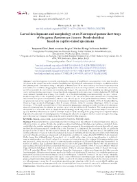 Larval Development and Morphology of Six Neotropical Poison-Dart Frogs of the Genus Ranitomeya (Anura: Dendrobatidae) Based on Captive-Raised Specimens