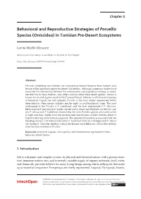 Behavioral and Reproductive Strategies of Porcellio Species (Oniscidea) in Tunisian Pre-Desert Ecosystems