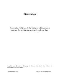 Dissertation