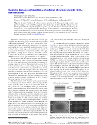 Magnetic Domain Configurations of Epitaxial Chromium Dioxide „Cro2… Nanostructures