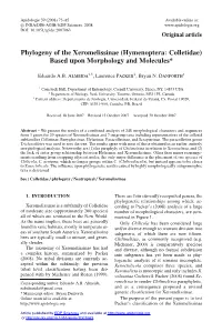 Phylogeny of the Xeromelissinae (Hymenoptera: Colletidae) Based Upon Morphology and Molecules*