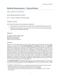 01 05 Lateral Surface of the Brain-NOTES.Pdf