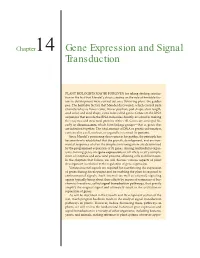 Gene Expression and Signal Transduction