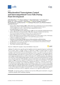 Mitochondrial Transcriptome Control and Intercompartment Cross-Talk During Plant Development