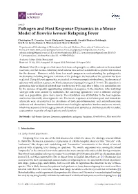 Pathogen and Host Response Dynamics in a Mouse Model of Borrelia Hermsii Relapsing Fever