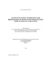 Generation and Propagation of Slow Waves, Role in Long- Term Plasticity and Gating