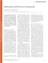 Mechanisms and Functions of Endocytosis