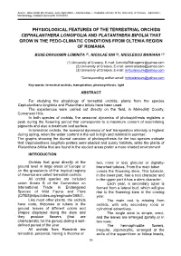 Physiological Features of the Terrestrial Orchids