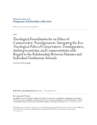 Theological Foundations for an Ethics of Cosmocentric Transfiguration